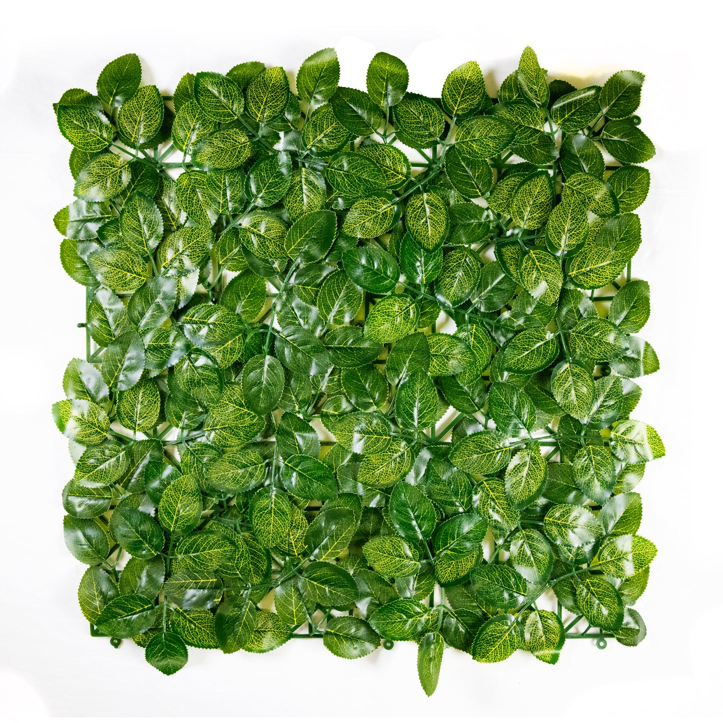 Rose Leaves (12-Pack)