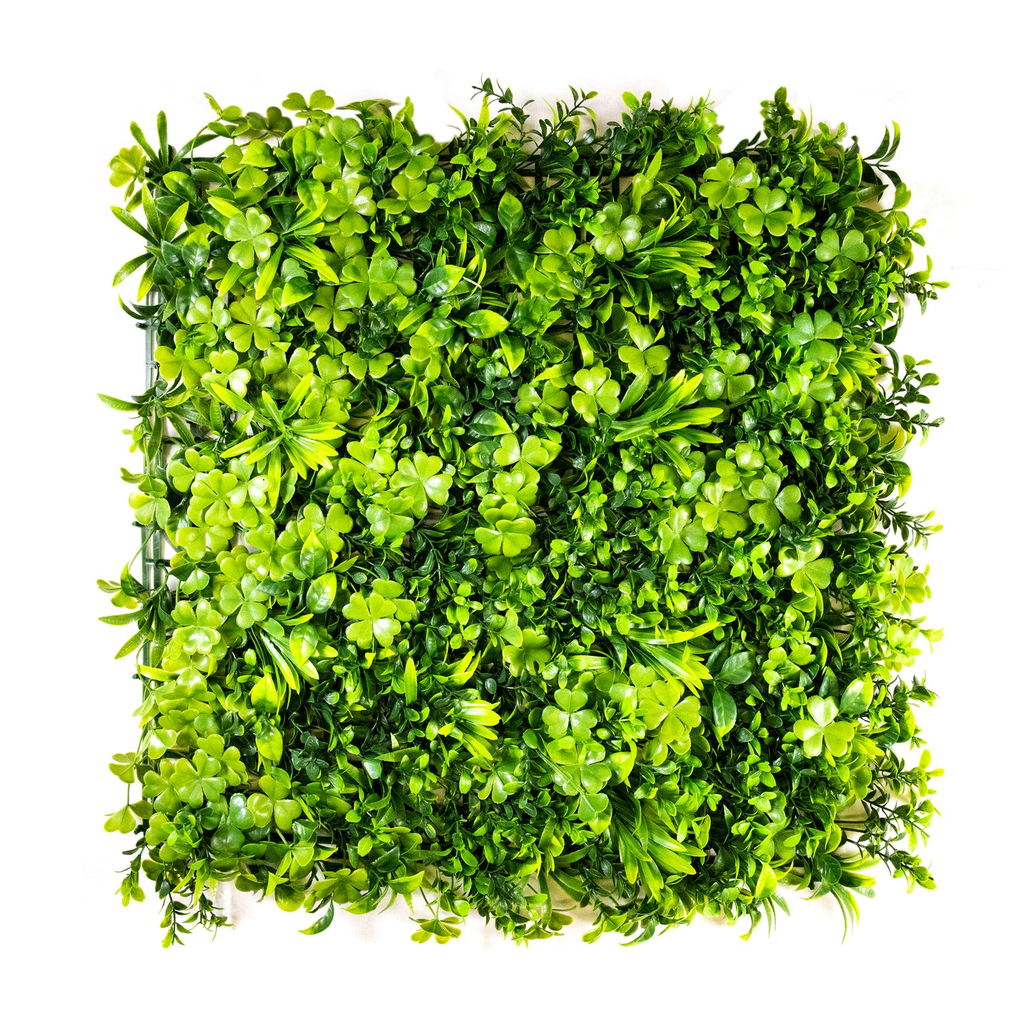 Winter Gem Leaves (12-Pack)